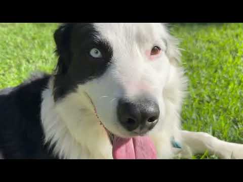 Matías Torres - Corazón en Llamas (Official Video)