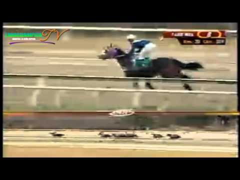 LA RINCONADA 8 CARRERA DOMINGO 16 DE MARZO DEL 2014