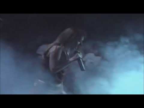 t-SHORT - Noapte de vis (Album Version)