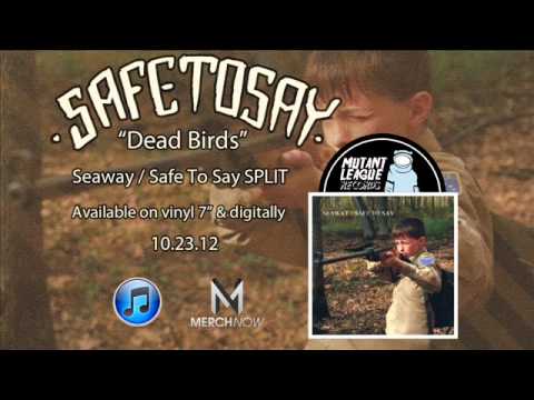 Safe To Say - Dead Birds