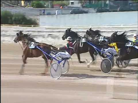 Trotto 13/04/2018 - 4ª corsa