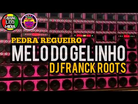 MELO DO GELINHO EXCLL MEGA BRISA DO SOM DJ FRANK ROOTS (Canal Léo Mídia Oficial)
