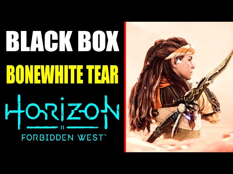 Black Box - Bonewhite Tear | Horizon Forbidden West