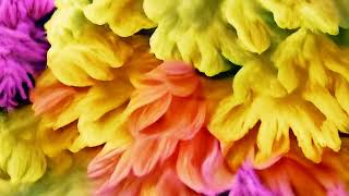 Chrysanthemums Music Video