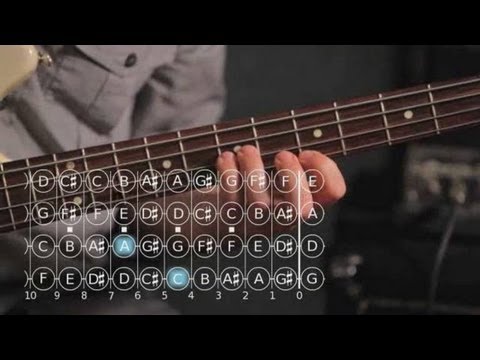 How to Play Double Stops & Triple Stops on Bass Guitar