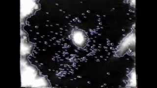 Psychedelic Nuclear Reaction