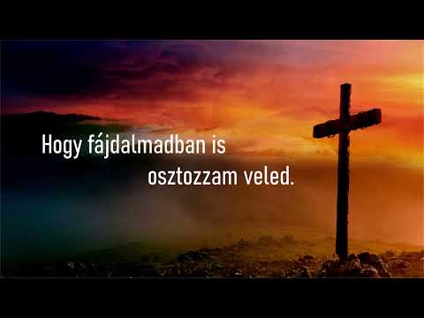 Mindenem Tiéd - Mike Sámuel