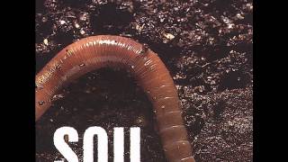 SOiL - Yellow Lines