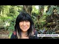 Whiskey Sour Happy Hour: Buffy Sainte-Marie, "America the Beautiful"