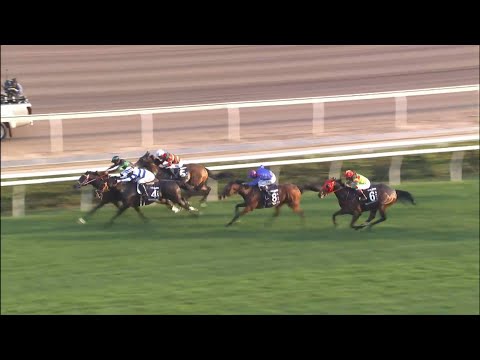 12/12/2021 (250) Loves Only You ラヴズオンリーユー - Y Kawada 川田将雅 (G1, Longines Hong Kong Cup)