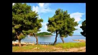 Scandinavian Tourist Center www albania proptours com