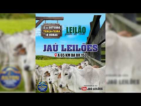 LEILÃO GADO DE CORTE  - JAU LEILÕES  - JAU DO TOCANTINS  - 13 / 10 / 2026