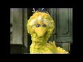 Sesame Street Big Bird Moves His Nest