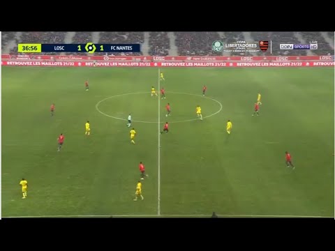 Lille vs Nantes 1-1 | Ligue 1 2021/22 | All Goals Highlights