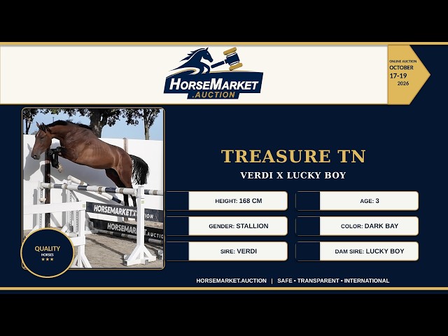 Treasure TN