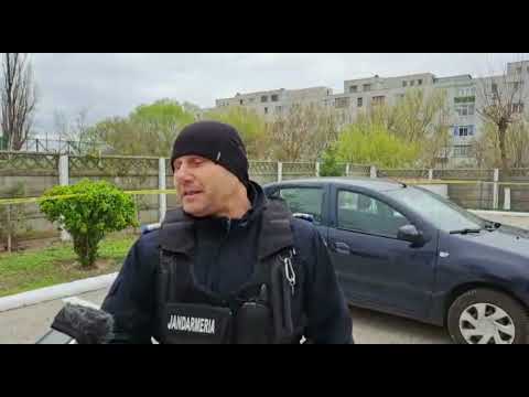 Povestea câinelui de 10 de la Jandarmeria Brăila. Stiri Braila - Probraila.ro