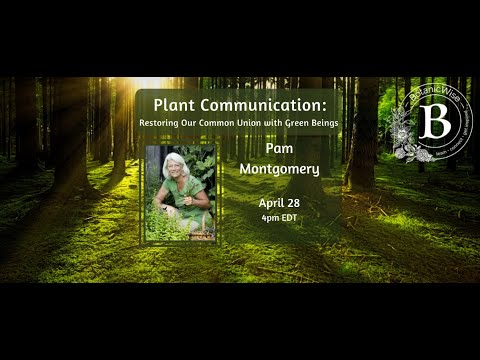 Plant Communication with Pam Montgomery