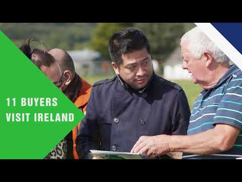 European Pork and Beef Campaign in Vietnam 2019-2020