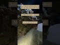 Join our night dive this Saturday!
