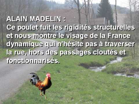 pourquoi le poulet a-t-il traversé la route