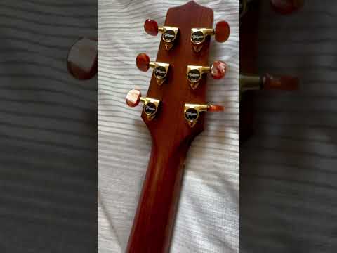 2004 Takamine AN10 image 13