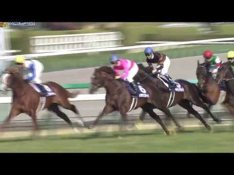 2017年 大阪杯（ＧＩ）