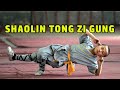 Wu Tang Collection - Shaolin Tong Zi Kung (Cantonese with English Subtitles)