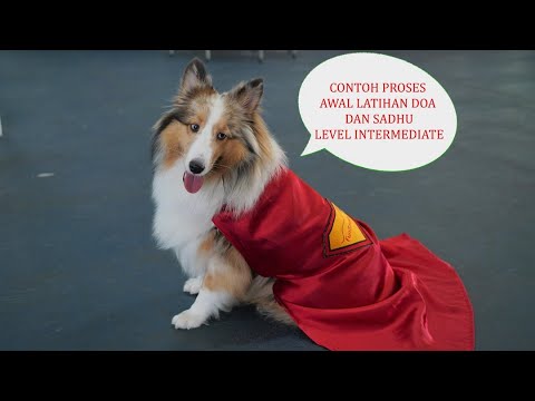 THE FIRST PRAYER AND SADHU PROCESS