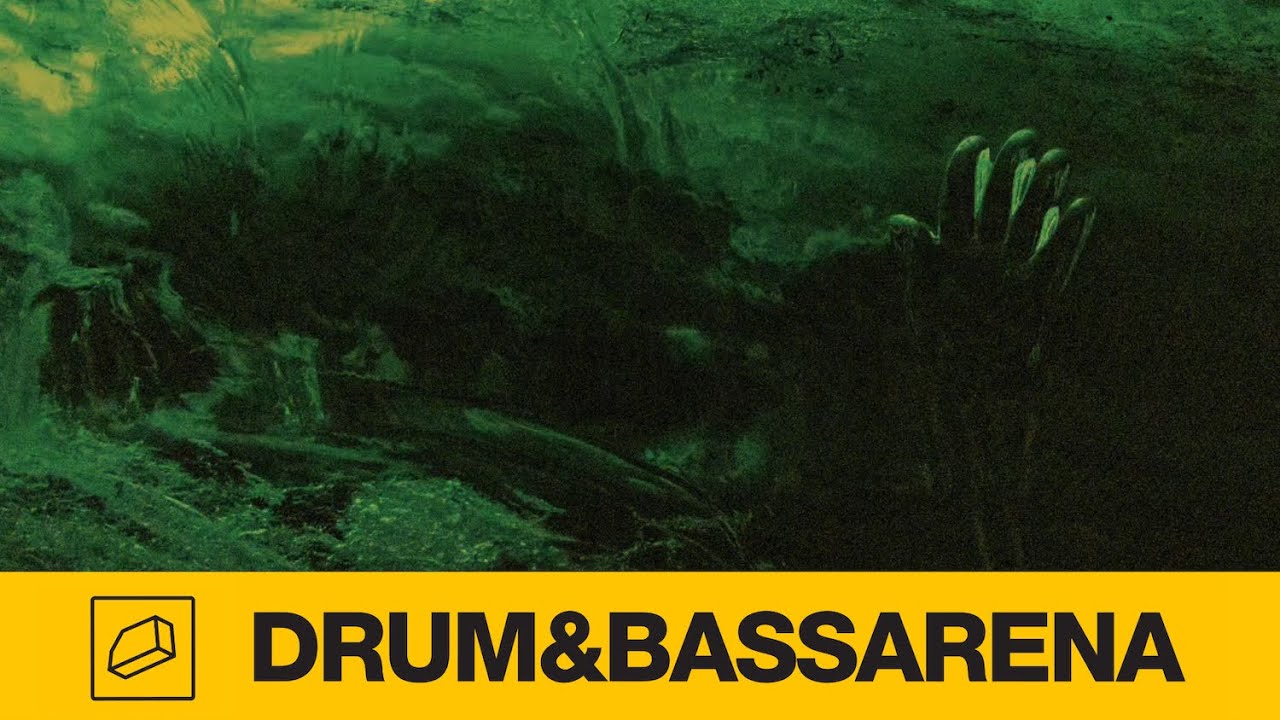 Silloh & DKN - Shell