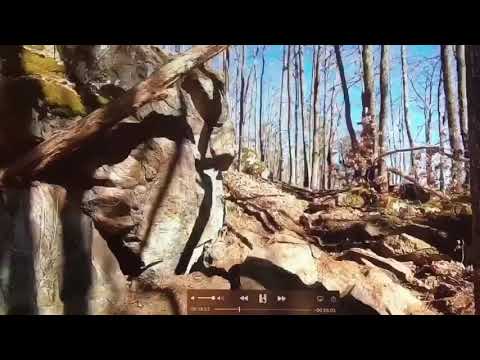 Teaser de la vidéo de Vorey 2019 🎥🎥🎥