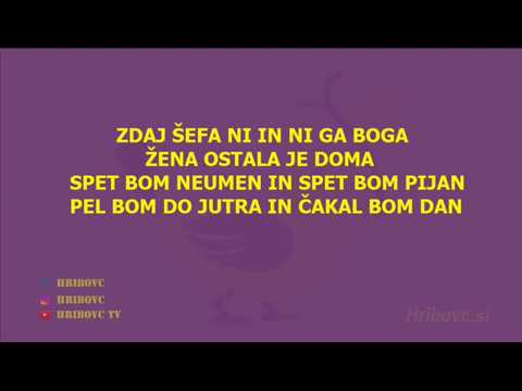 Coto, Jan Plestenjak, Modrijani in Poskočni muzikanti - Kok nam je luštn (besedilo)