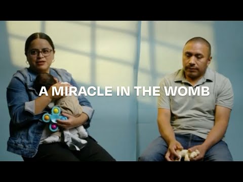 Witness21 Editor  2024 10 29