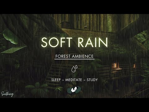 Soft Rain On Forest Cabin | NO ADS | Soothing Rain Sounds For Sleeping