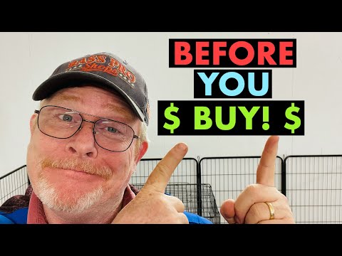 How To Buy A Dog For Breeding - 5 Tips!