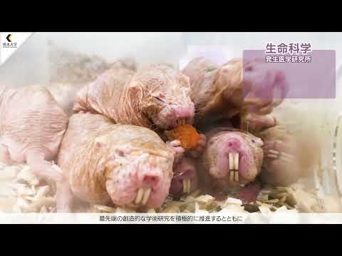 University Introductory Video