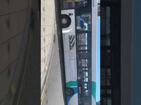 Stagecoach E1 on ocean road