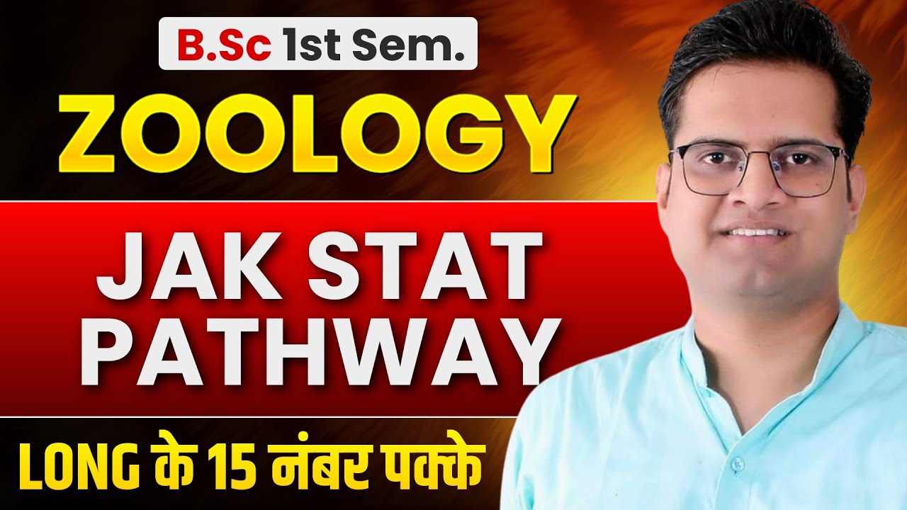 JAK STAT Pathway!B.Sc 1st Semester Zoology!Be DKDian