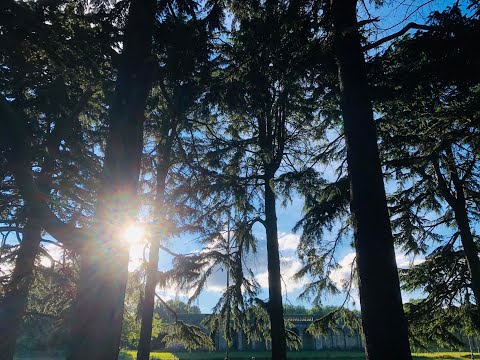 T-Buck ft. Irma _ Tavo meilė