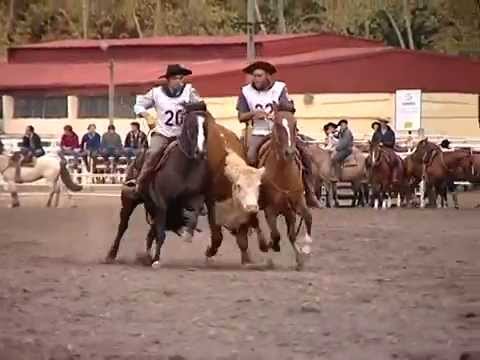 Las Callanas Morita - TE