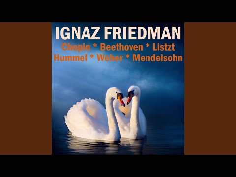 Hungarian Rhapsody No. 2, S. 244/2