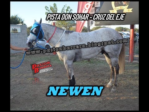 NEWEN, Pista Don Sohar - Cruz del Eje (19-05-19)