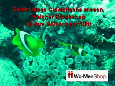 Ein liebes Clownfischpaar beim shoppen im Internet!