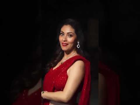 Vardan Ethnic BT-356 Heavy Nylon Butterfly Net Wholesale Saree Catalog – product video thumbnail