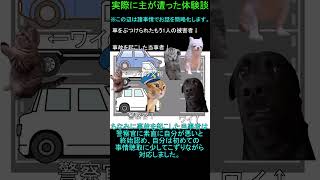 ［実話］実際に主が遭った体験談　#ショート動画　#体験談　#ノンフィクション　#交通事故　#猫ミーム