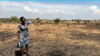 Buying Land in My African Village