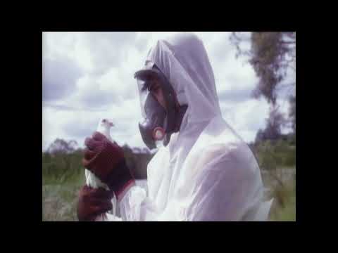 Play video on YouTube