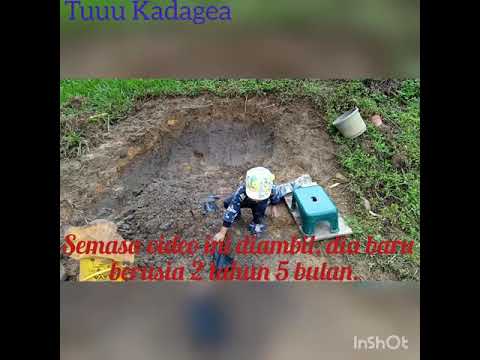 Anak 2 tahun lebih isi tanah ke dalam ploybag plastik untuk semai biji durian