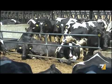 Leffetto sulla potenza della dieta Come recuperare da una potenza