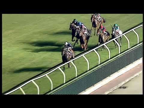 Galoppo 29/07/2020 - 6ª corsa