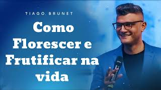 Como Florescer e Frutificar na vida - Pastor Tiago Brunet